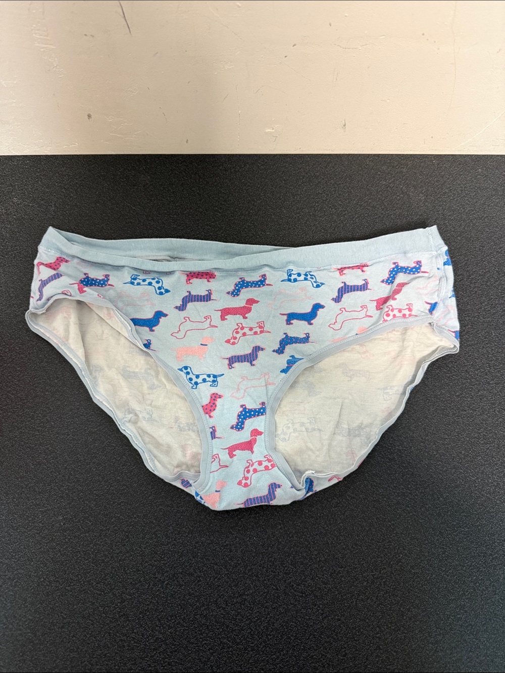 No Boundaries Light Blue Briefs with Pink & Blue Dog Print